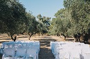 Оливковая роща в частном владении, Корфу