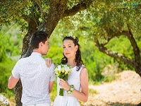 Фото <b>SPO</b> Символическая церемония на Родосе: оливковая роща, Греция