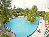 Фото Медовый месяц в Sun Island Resort & Spa, Мальдивские острова
