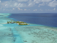 Фото Медовый месяц в Sun Island Resort & Spa, Мальдивские острова