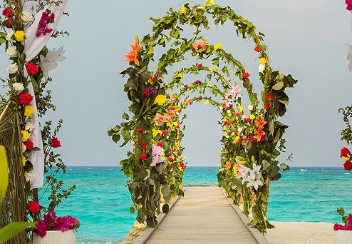 ���� ������� �� ���������: ����� Fushifaru Maldives 5*  � ����������� �������