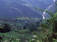 Фото Медовый месяц в Сиккимской долине , Индия