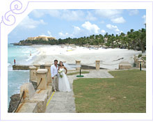 -   ,  Sandals Royal Hicacos 5* -  5