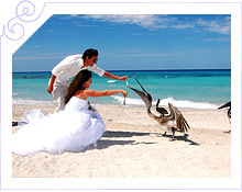 Куба - Свадьба на Кубе, отель Sandals Royal Hicacos 5* - фото 8