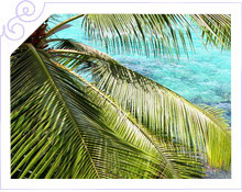 Сейшелы - Медовый месяц в отеле Hilton Seychelles Northolme Resort & Spa 5*   - фото 1