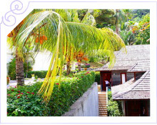 Сейшелы - Медовый месяц в отеле Hilton Seychelles Northolme Resort & Spa 5*   - фото 11
