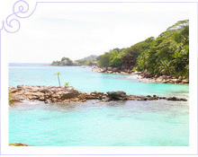 Сейшелы - Медовый месяц в отеле Hilton Seychelles Northolme Resort & Spa 5*   - фото 3