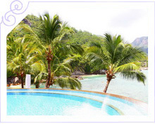 Сейшелы - Медовый месяц в отеле Hilton Seychelles Northolme Resort & Spa 5*   - фото 4