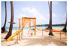 Доминикана - Свадьба в Доминиканской республике, на пляже Макао - фото 4