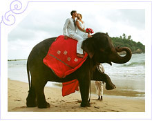 Шри-Ланка - Свадьба на Шри-Ланке (в отеле The Eden Resort & Spa) - фото 4
